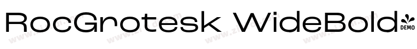 RocGrotesk WideBold字体转换